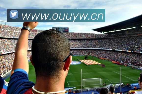 乐鱼官网登录首页APP 封面图